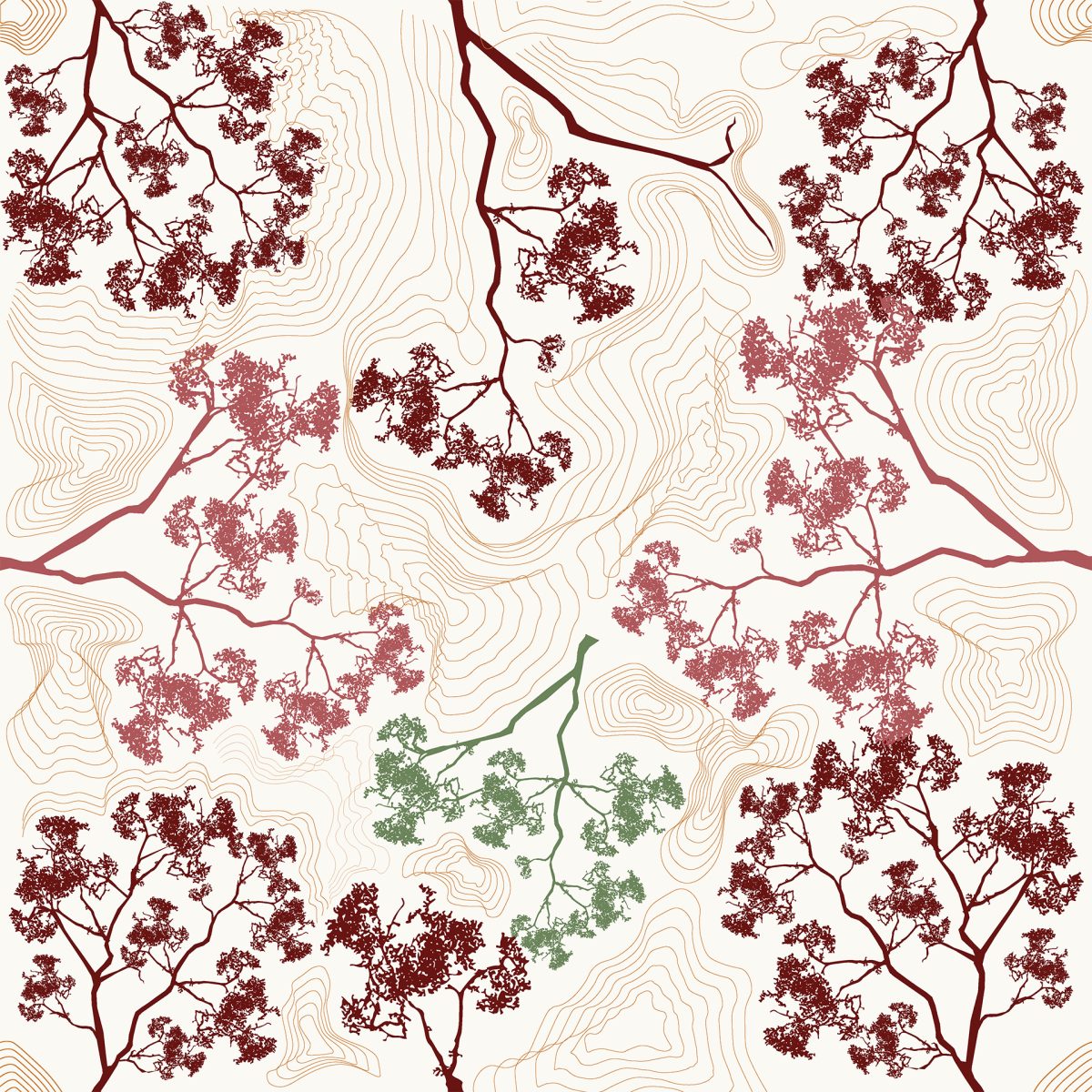 RADICI, La Geometria della Natura, carolina nisivoccia, trees, detail